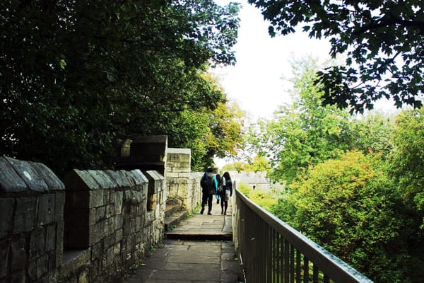 A fabulous day trip to York: photo 7