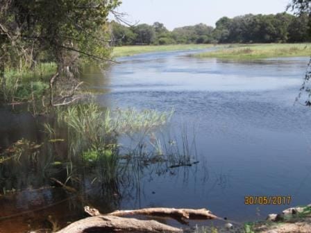 Maun:your stay at Old bridge backpackers: photo 1