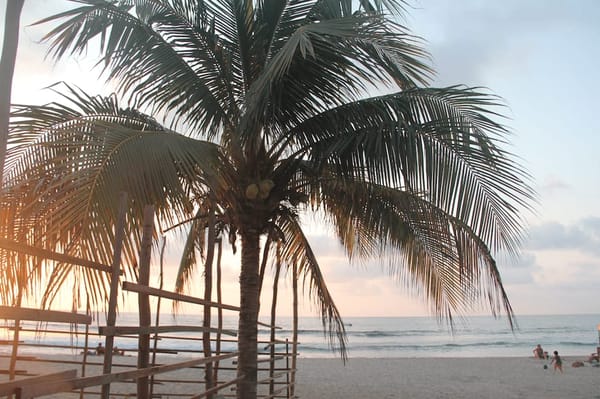 Discover the sun, sand and surf of Mexico’s beautiful Sayulita!: photo 1