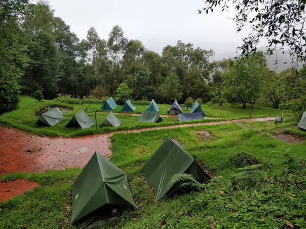 Best Place to Take a Trek in Munnar: Meesapulimala: photo 3