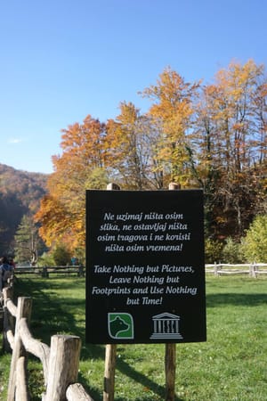 From Split to Plitvice Lake National Park: photo 6