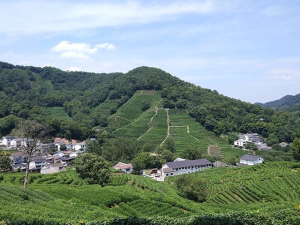 What to see and do in Mainland China: photo 19