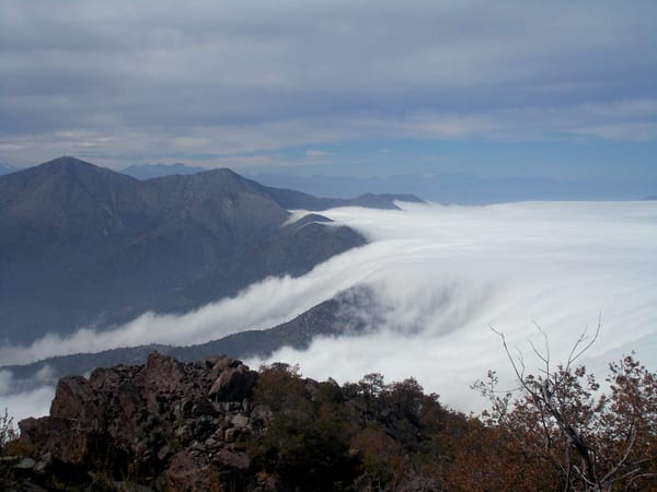 Cerro La Campana- Chile: photo 3