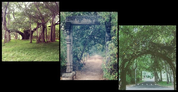 Cultural Capital of India and Pride of Tamil Nadu - Chennai: photo 6