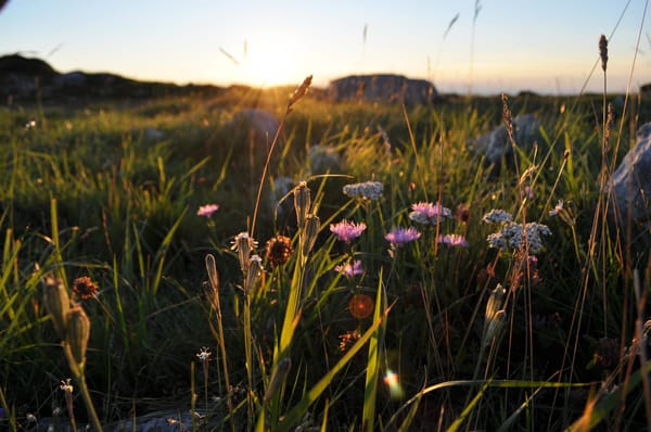 Hiking the Big Stone: Gran Sasso, Italy.: photo 17