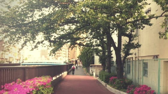 Tokyo: Find a Room and go Around by Bike, Part I: photo 2