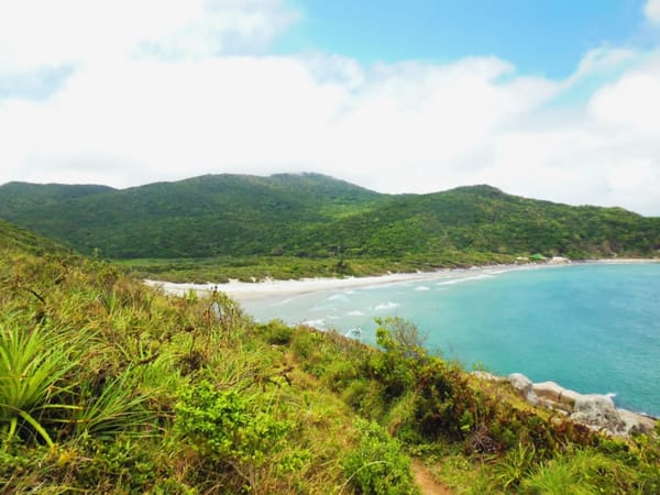 Dive into nature - best hikes in Florianópolis: photo 7