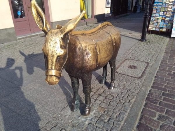 Poland: My hometown Toruń: photo 14
