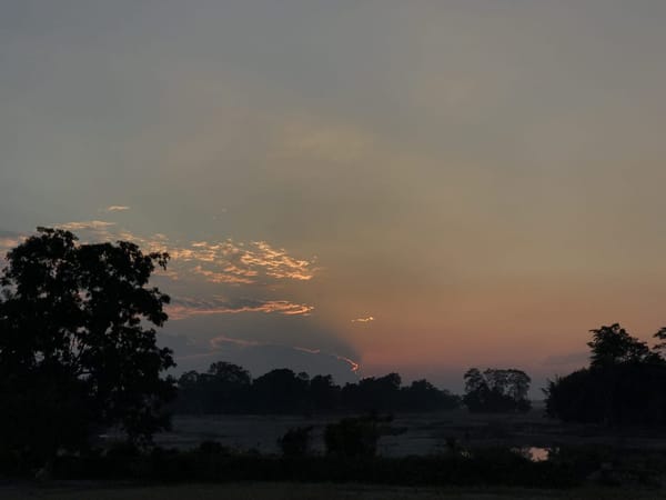 The Ultimate Guide to travel to Majuli, a river island in Assam: photo 8