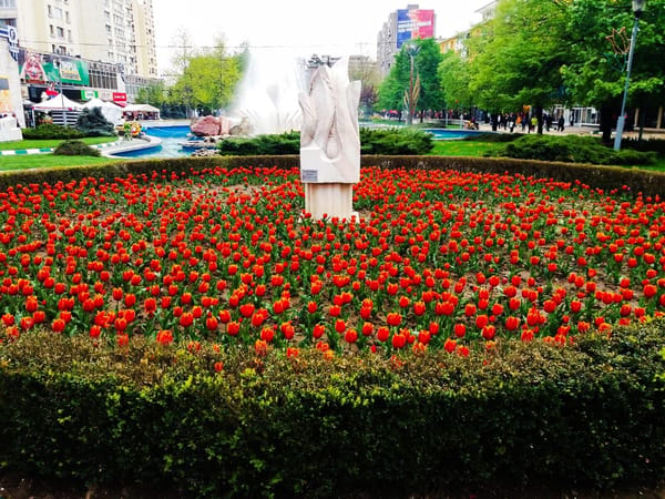 A weekend escape in Pitesti - The city of tulips: photo 8