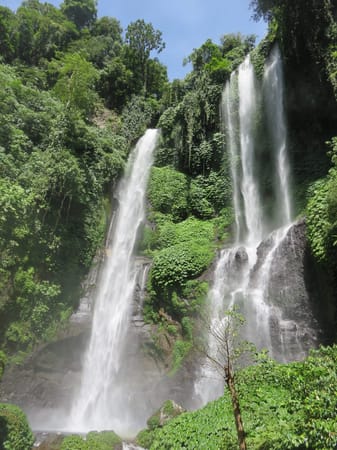 Sekumpul - Bali´s hidden Waterfall: photo 12
