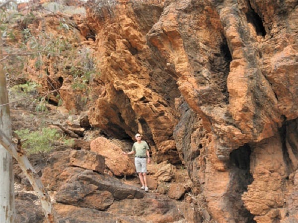 Flinders Ranges: Ancient earth and fascinating wildlife: photo 5