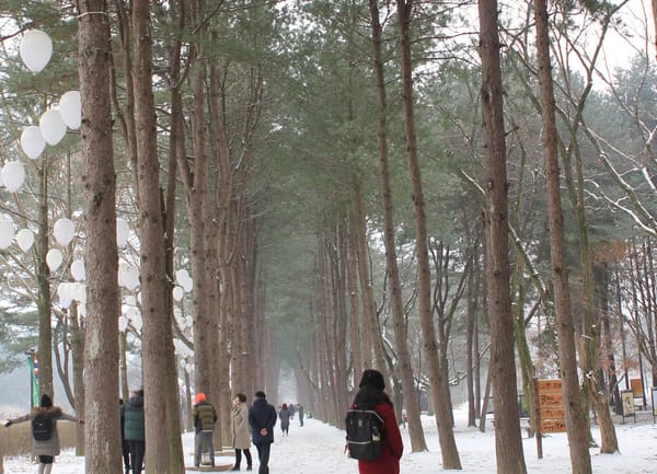 KOREA: Best things to do during winter: photo 6