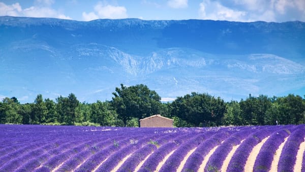 How to spend a weekend in Aix-en-Provence on a budget: photo 1
