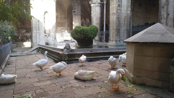 Best things to do in Barcelona, Spain: photo 1