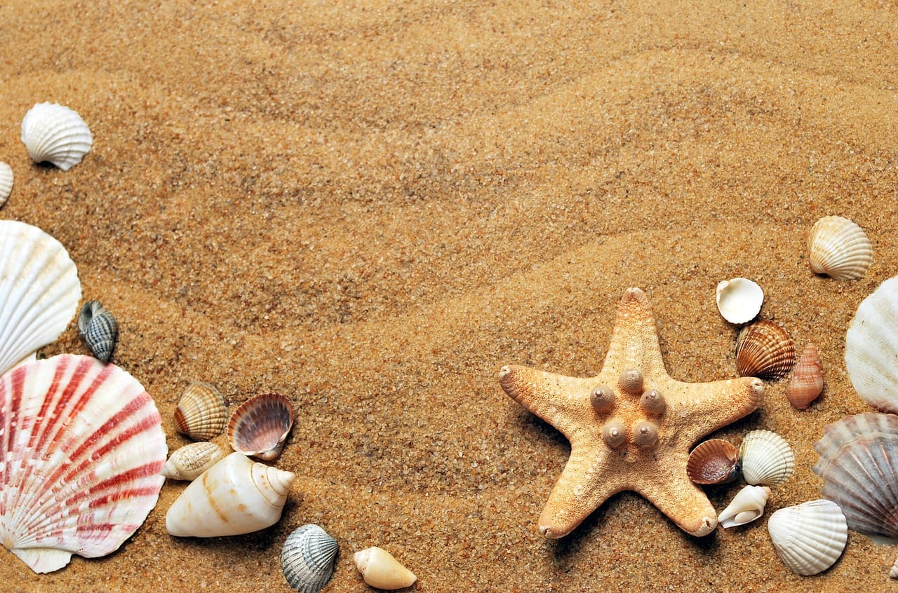 Things to do in Indonesia, Batam Riau