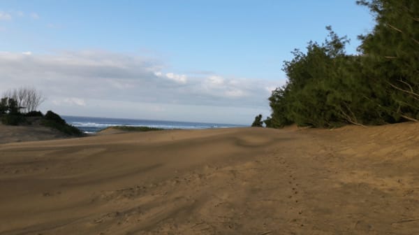 Exploring South Africa:  Adventures in St Lucia: photo 1