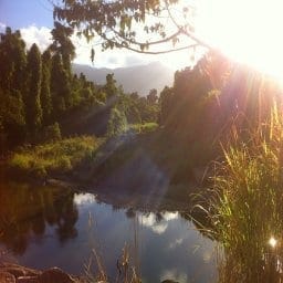 Bingil Bay - Australia’s hidden tropical paradise: photo 17
