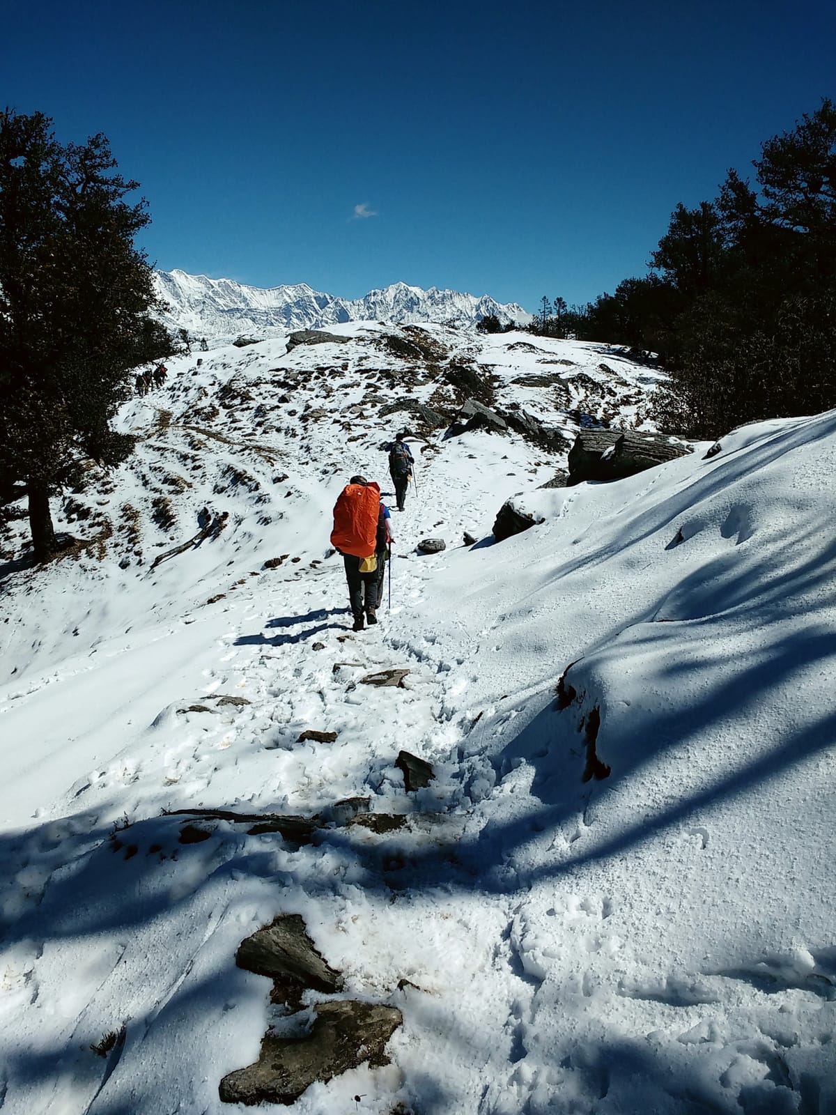 Brahmatal : A Himalayan trek