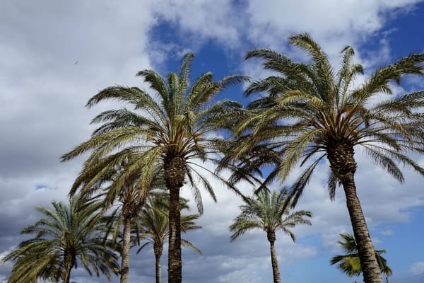 Andalusia Travel Guide - Treasures of Southern Spain: photo 3