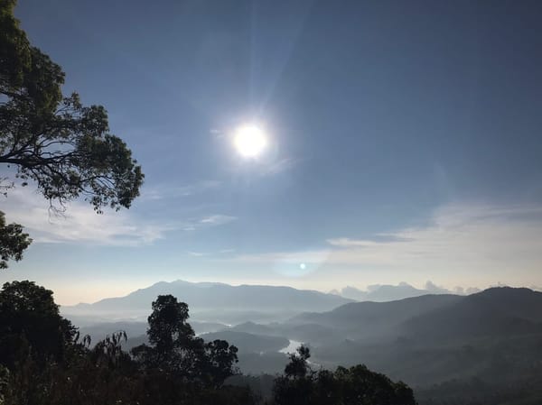 Munnar: The hilly paradise of South India: photo 3