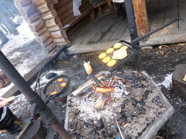 72 hours in and around Rovaniemi, Lapland: photo 10