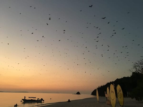 Palawan, Philippines: Living in Paradise: photo 10