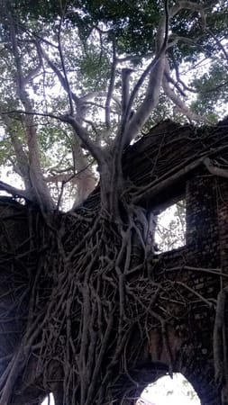 Andaman Awe- Where each beach takes you by surprise: photo 1