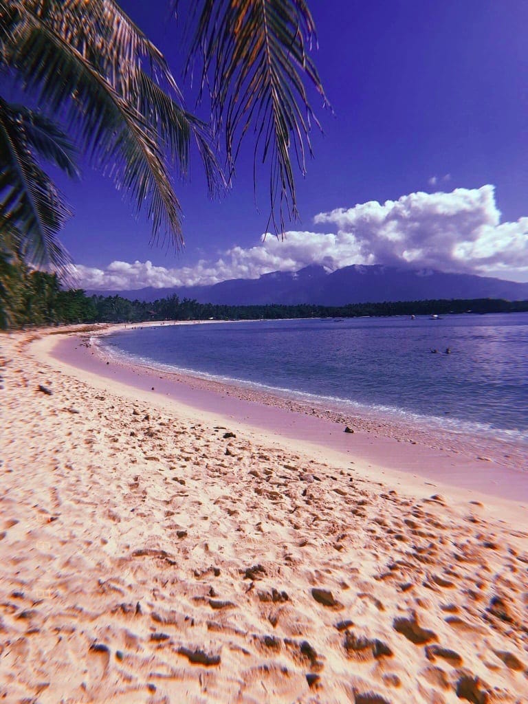 How To Enjoy Davao City Like A Local