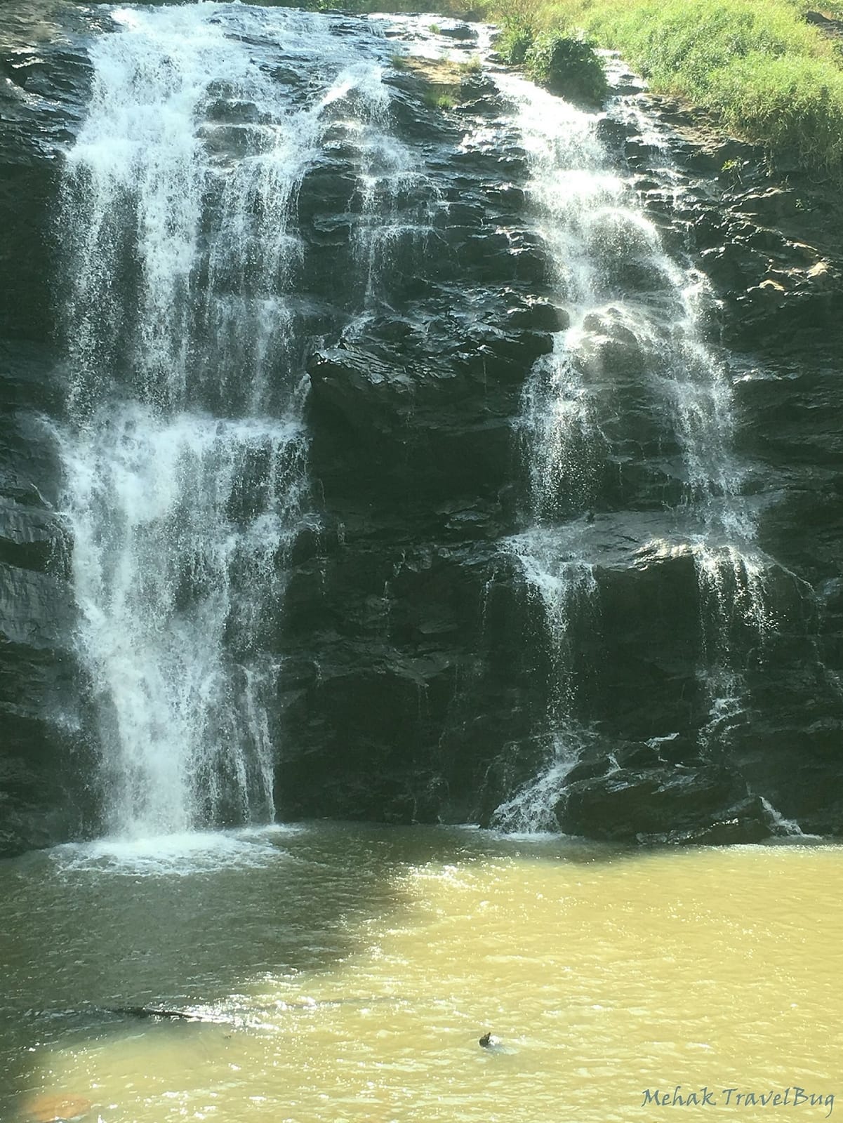 Looking for a brief pause from monotony? Here’s where you need to be: Coorg “The Scotland of India”