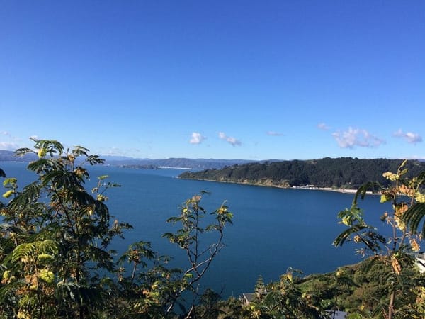 Live a year in New Zealand: photo 7
