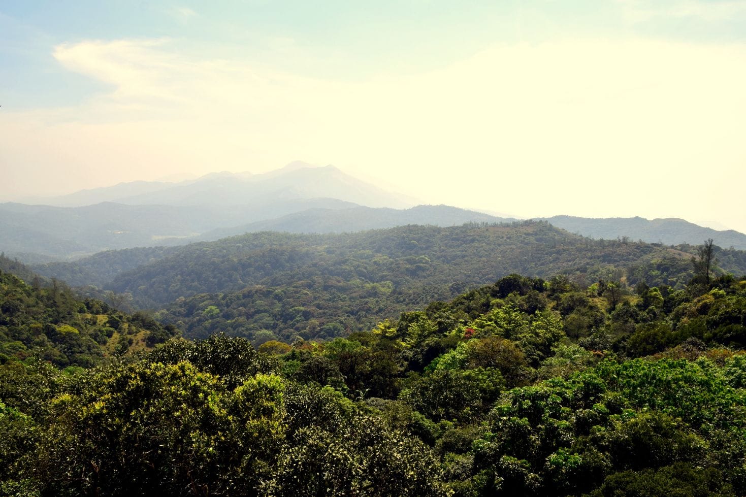 COORG – The Scotland of India!