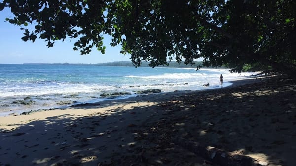 A Travel Guide to Puerto Viejo, Costa Rica: photo 1
