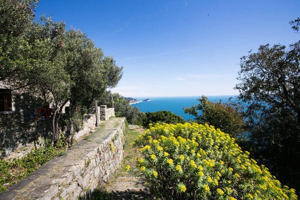 Tramonti di Campiglia - Off the beaten tracks of Cinque Terre: photo 5