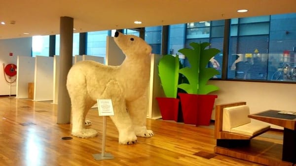 The Netherlands: Amsterdam on a budget: photo 6