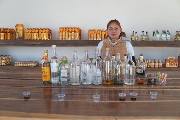 Mexico: Oaxaca City and Area: photo 3