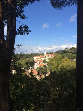Time Out in Lisbon: photo 5