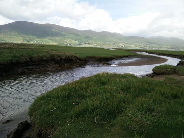 Ireland - A Different Experience at Inch Beach: photo 3