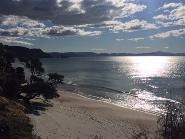 Coromandel Peninsula - The Ultimate Escape: photo 9