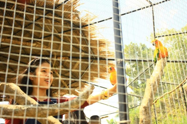 The First Agri-Tourism Park in Tupi, South Cotabato, Philippines: photo 2