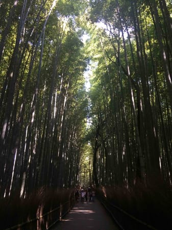 Japan: More Than Just Mangas and Animes: photo 8