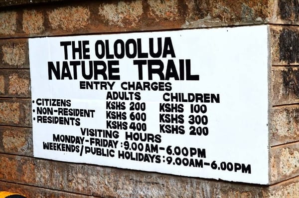 The Perfect Date With Nature; The Oloolua Nature Trail: photo 11