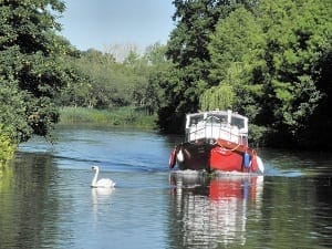 North Norfolk: A postage stamp view; culture, beauty & diversity: photo 17