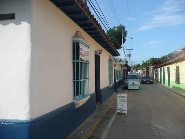 Choroní: Cloud forest, bluegreen beaches, rivers and drums: photo 2