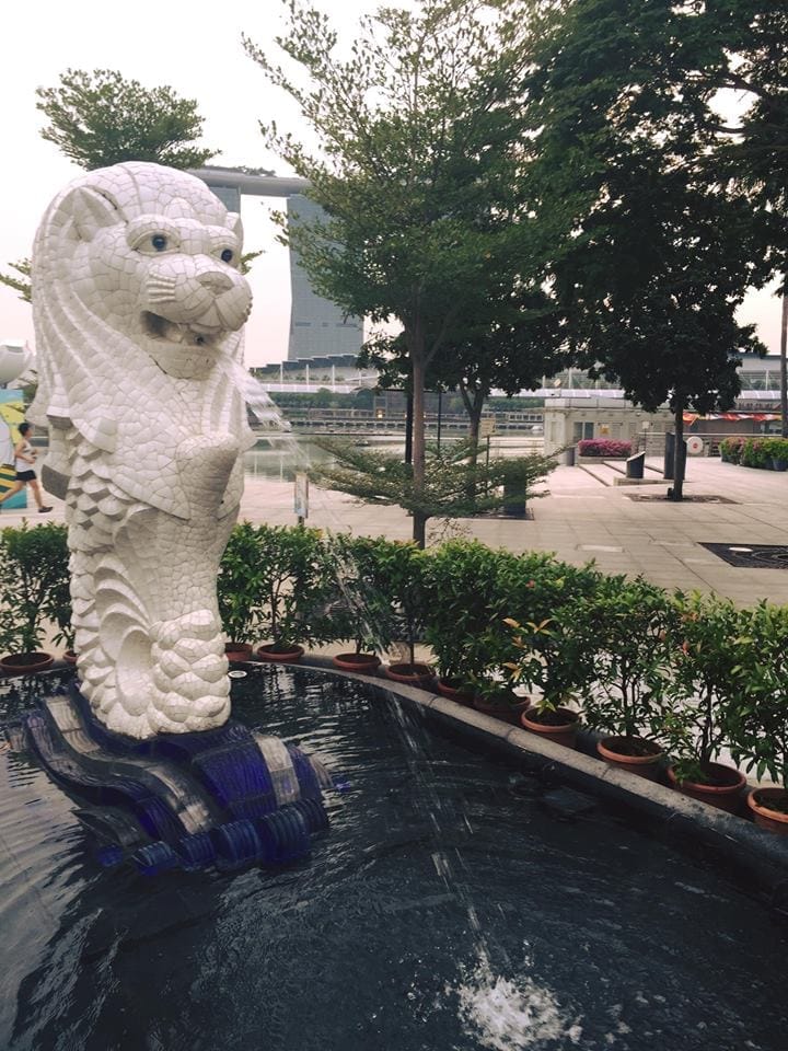 SINGAPORE: A LAYOVER CHALLENGE