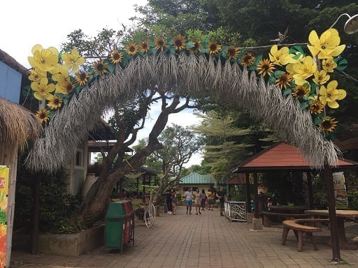 Interesting places to visit in Puerto Princesa: photo 10