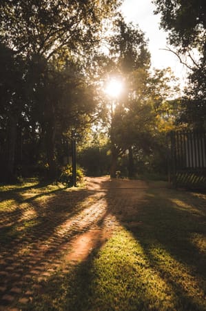 The Karee Trail - A Day Hike in the Magaliesburg, South Africa: photo 1