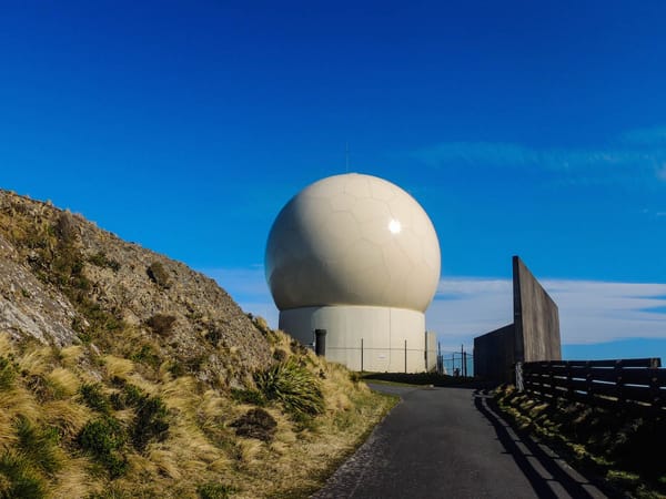 Hawkins Hill: The Hidden Gem of Wellington, New Zealand: photo 4