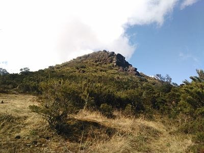 Heaven in heights: Cerro De La Muerte (Costa Rica): photo 13