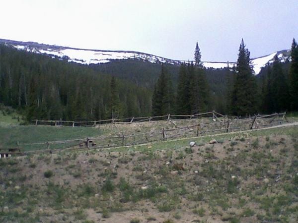 Living True in Denver Colorado: photo 3